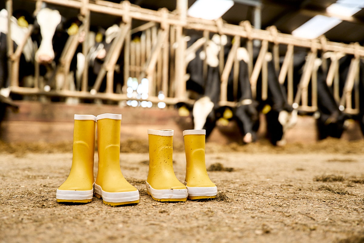 Agrarische kinderopvang Boer & Zus
