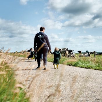 Kinderopvang Boer&Zus - Agrarische kinderopvang Alblasserwaard 97